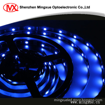 SMD5050 LED Strip Light